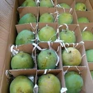 Fatwa Taksiran Zakat Harumanis