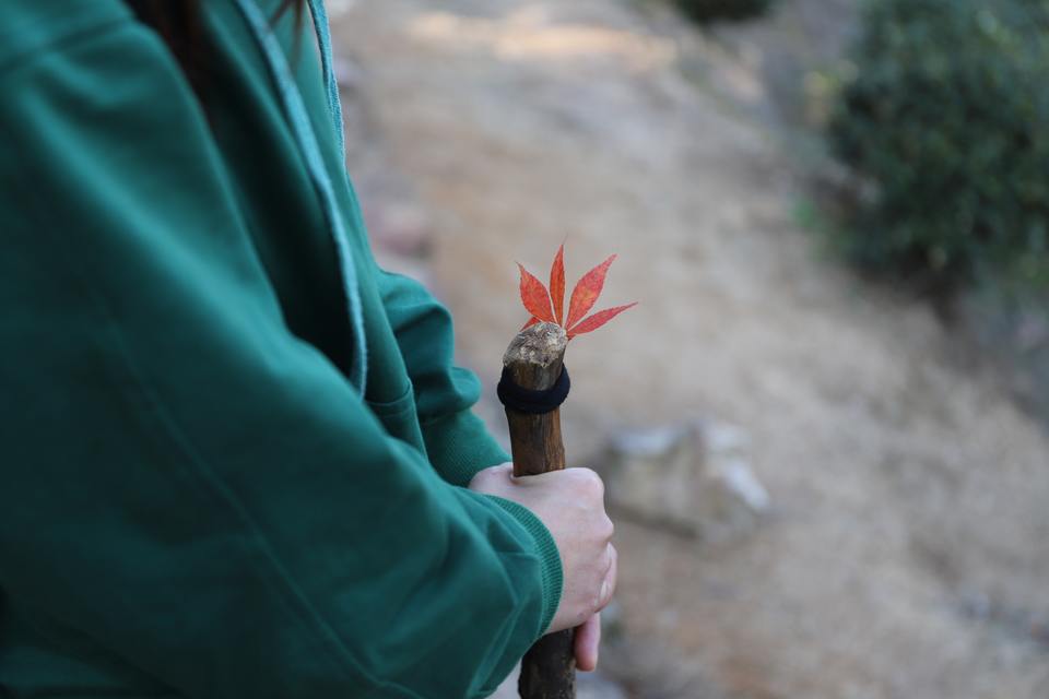 raychan-ZhiacllSSXQ-unsplash_960x.jpg